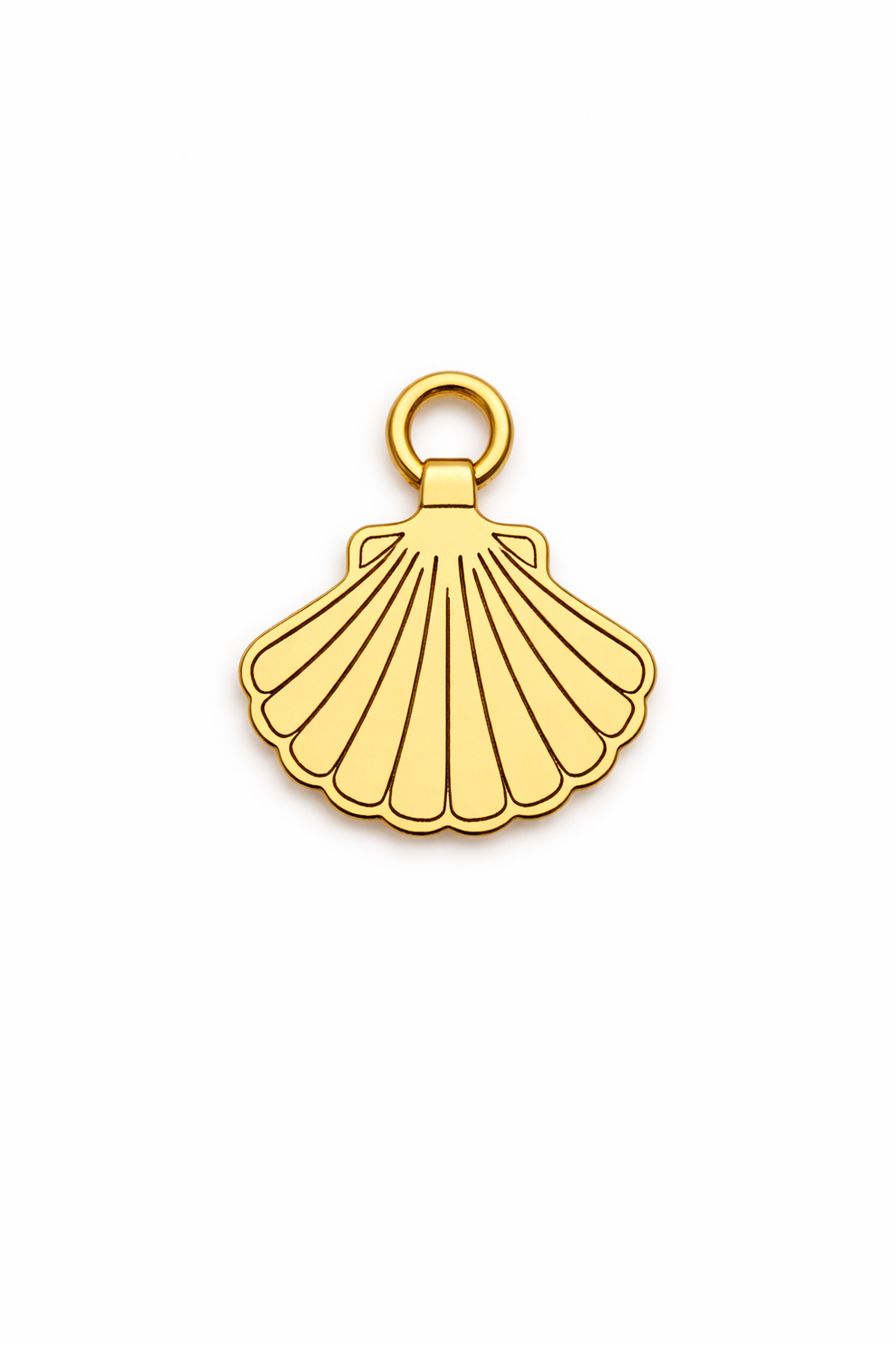 Sea Shell